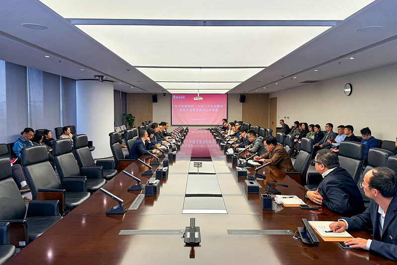 【黨建專題】西咸金控組織召開“學(xué)習(xí)貫徹黨的二十屆三中全會(huì)精神”黨員大會(huì)